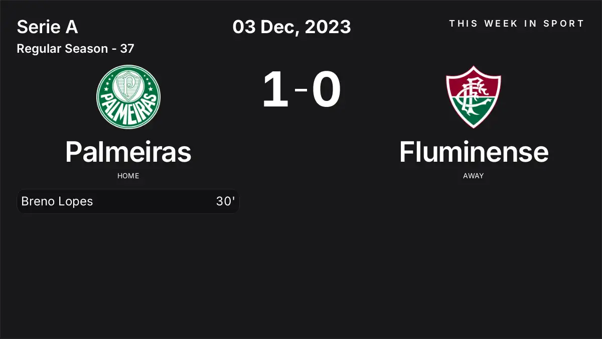 Report: Palmeiras vs Fluminense (2023-12-03)