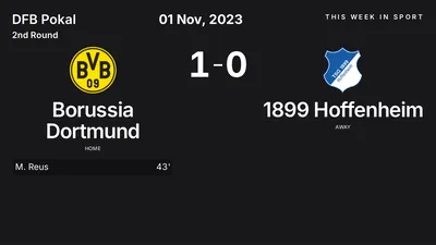Report: Borussia Dortmund vs 1899 Hoffenheim (2023-11-01)