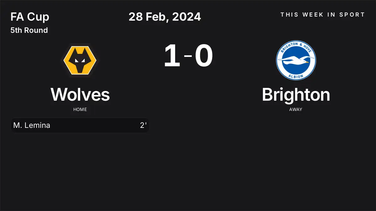 Report: Wolves vs Brighton (2024-02-28)