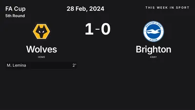 Report: Wolves vs Brighton (2024-02-28)
