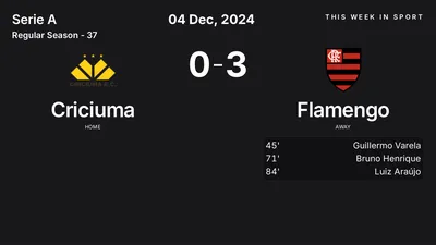 Report: Criciuma vs Flamengo (2024-12-04)
