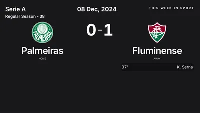 Report: Palmeiras vs Fluminense (2024-12-08)