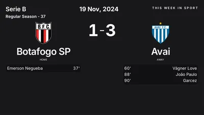 Report: Botafogo SP vs Avai (2024-11-19)