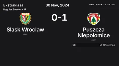 Report: Slask Wroclaw vs Puszcza Niepołomice (2024-11-30)