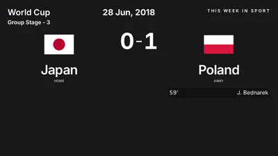 Report: Japan vs Poland (2018-06-28)