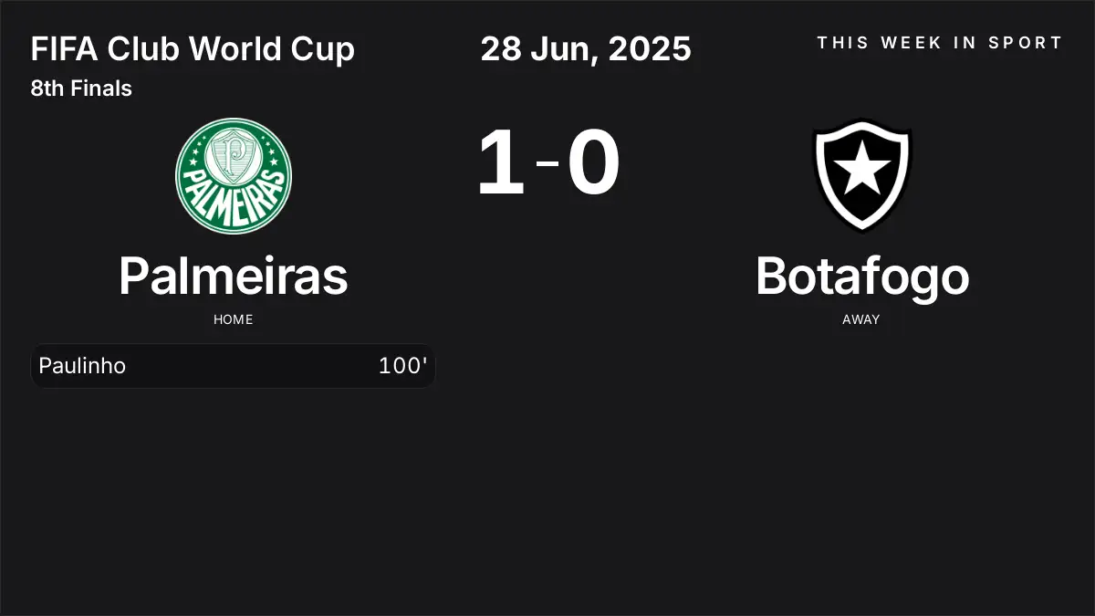 Report: Palmeiras vs Botafogo (2025-06-28)