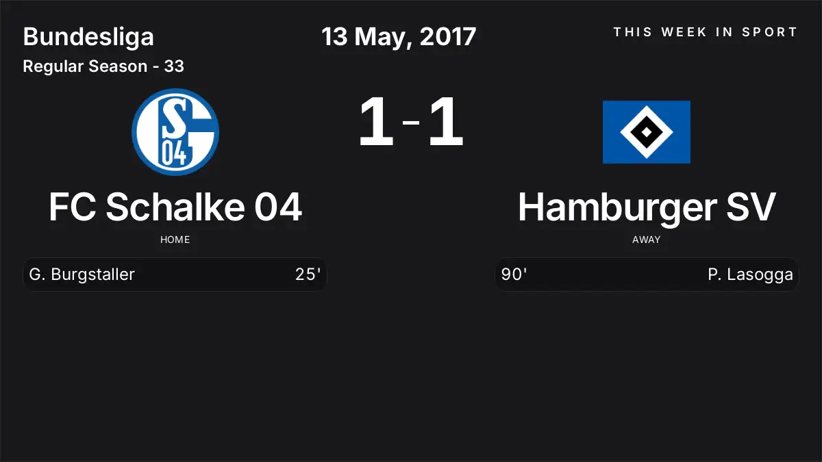 Report: FC Schalke 04 vs Hamburger SV (2017-05-13)