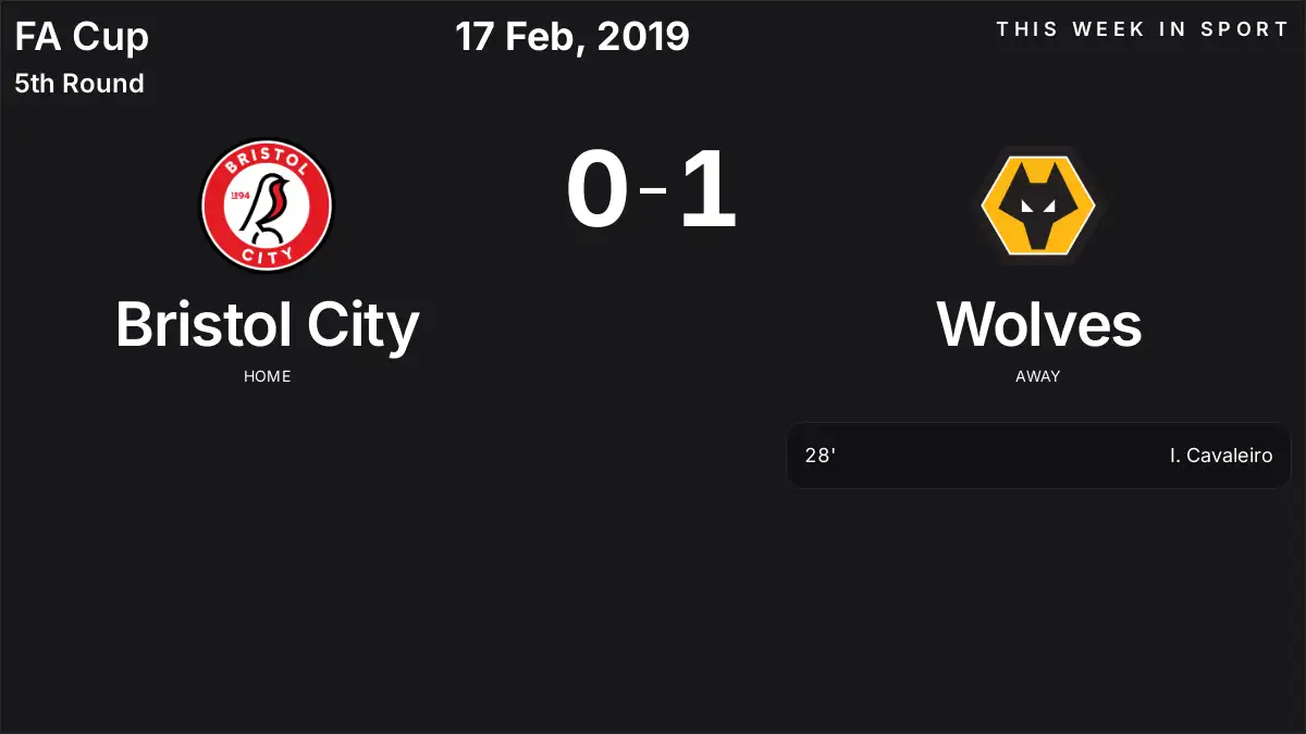 Report: Bristol City vs Wolves (2019-02-17)