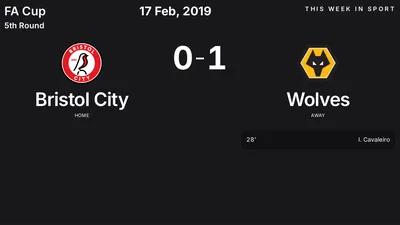 Report: Bristol City vs Wolves (2019-02-17)