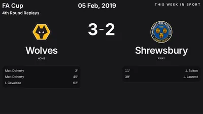 Report: Wolves vs Shrewsbury (2019-02-05)