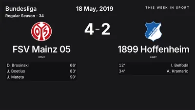 Report: FSV Mainz 05 vs 1899 Hoffenheim (2019-05-18)