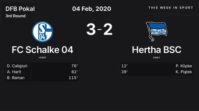 Report: FC Schalke 04 vs Hertha BSC (2020-02-04)