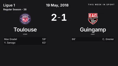 Report: Toulouse vs Guingamp (2018-05-19)
