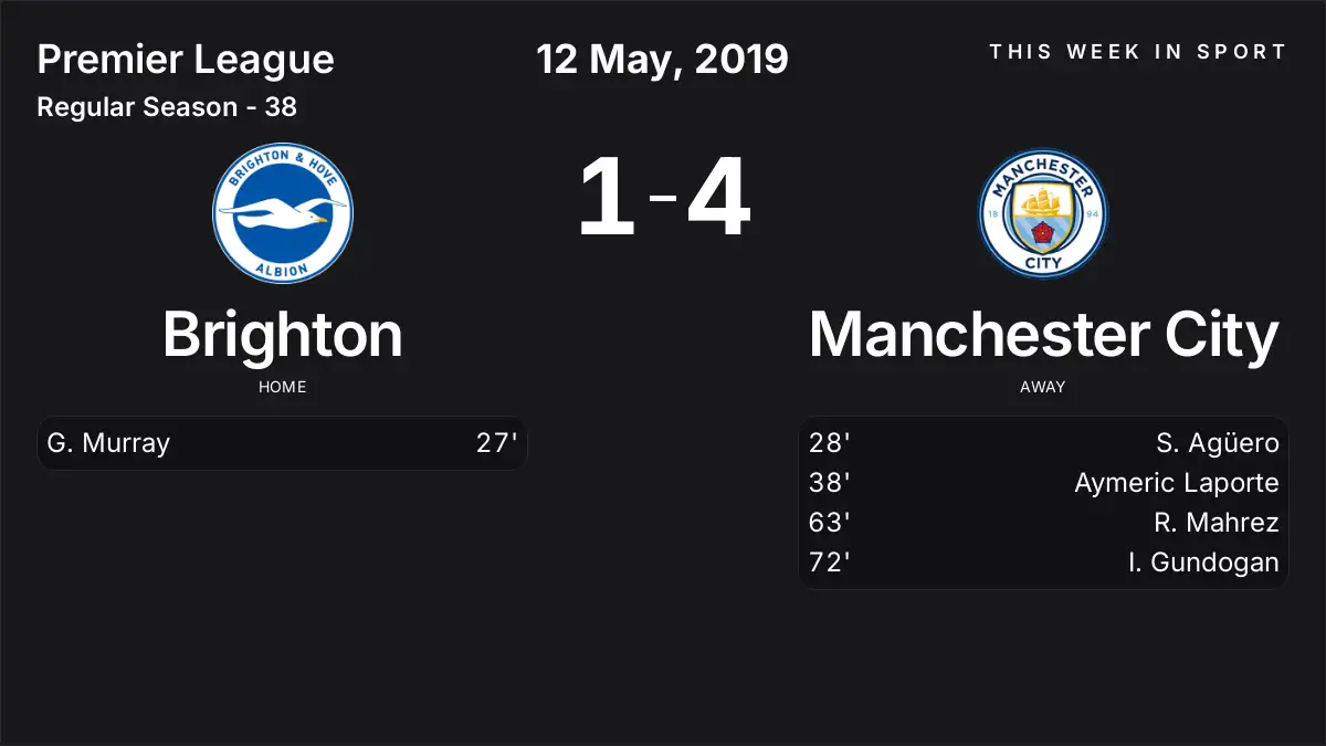 Report: Brighton vs Manchester City (2019-05-12)