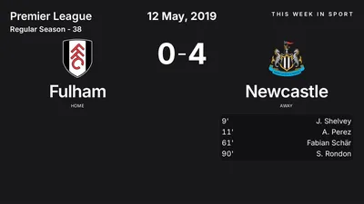 Report: Fulham vs Newcastle (2019-05-12)