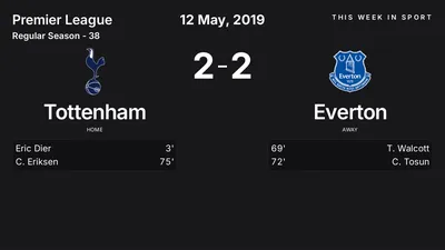 Report: Tottenham vs Everton (2019-05-12)