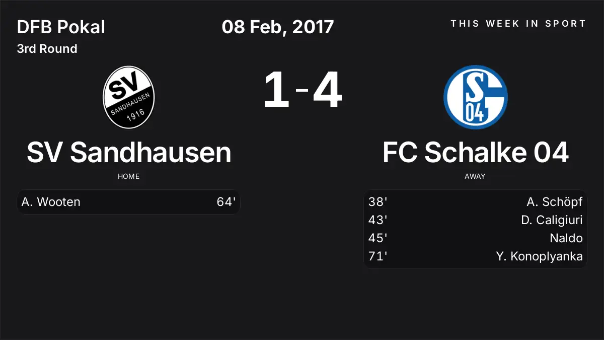 Report: SV Sandhausen vs FC Schalke 04 (2017-02-08)