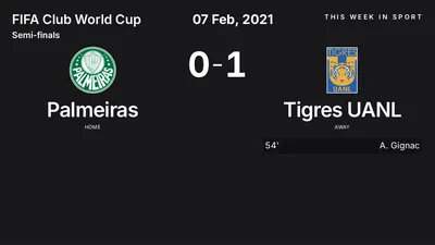 Report: Palmeiras vs Tigres UANL (2021-02-07)