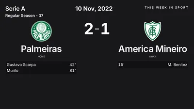 Report: Palmeiras vs America Mineiro (2022-11-10)