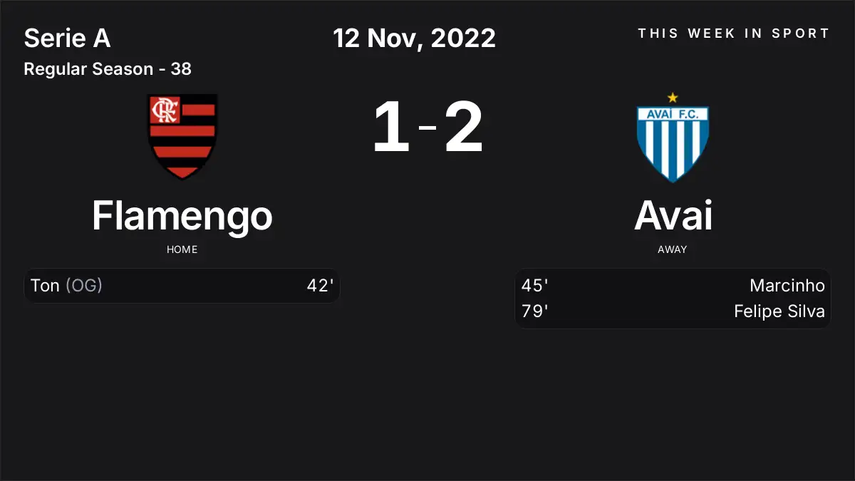 Report: Flamengo vs Avai (2022-11-12)